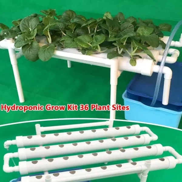 Best Hydroponisk dyrkningssæt - 1-lags system - 36 plantehuller - Huldiameter 3,2 cm - PVC-U - Vandsparende - Lavendel Kit Til Plante- & Urtedyrkning