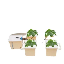 Discount Hydroponisk Vækstsysteem, 4 Spande, Effektiv Vandpumpe,lys gul Kit Til Plante- & Urtedyrkning