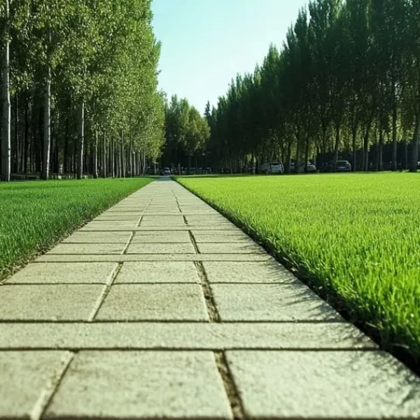 Hot Invest Green Universal Selvkomprimerende Græsblanding 5 kg 200 m² Frø