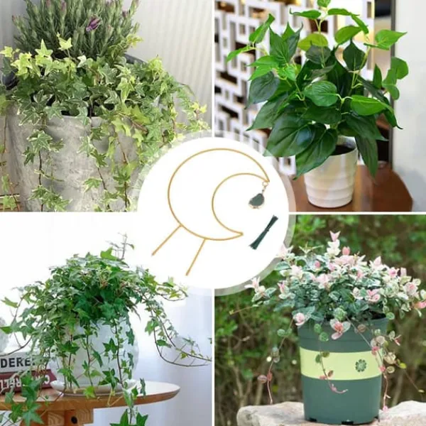 New Jernblomstramme Planteklatrevin Månebeslag Plantespalier Krukker & Plantebeholdere