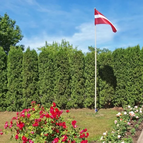 Flag & Vindposer^Jordhylster, 56x7x10 cm, Sølv