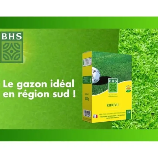 Outlet Kikuyu - BHS - 300 g | 25 m² | Medelhavsområdena | Resistent mot hög värme och trampning. Frø
