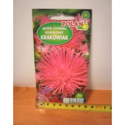 Frø^Kinesiske nåleastersfrø PN3979