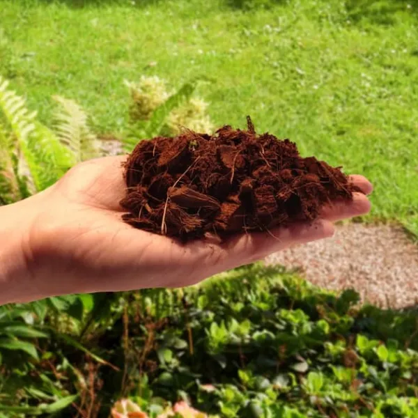 Hot Kokosfiberchips Løse kokoschips COCO PEAT 10 MM 20L Jord & Sand