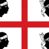 Flag & Vindposer^Korsika flag