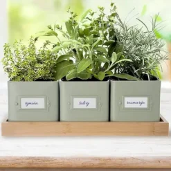 Hot Krydderurtepottedæksel på stativ GRØNLIG 4 stk. Kit Til Plante- & Urtedyrkning