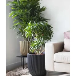 Krukker & Plantebeholdere^Kulblomkruka - CAPI EUROPE - RIB NL - 43 x 41 cm - Svart