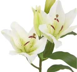 Blomster^Kunstig blomst I HAVE H75cm, hvid lilje