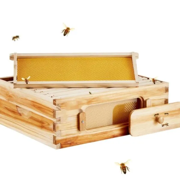 Til Fugle & Småvildt^Langstroth Medium Biavl Kittet, 10 Rammer, Akryl Biavlsvinduer, Holdbar Konstruktion, Let at Montere