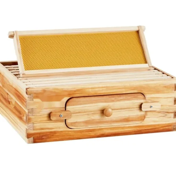 Til Fugle & Småvildt^Langstroth Medium Biavl Kittet, 10 Rammer, Akryl Biavlsvinduer, Holdbar Konstruktion, Let at Montere