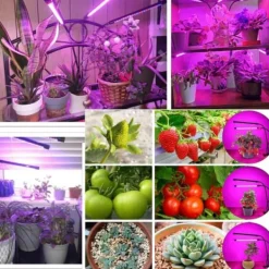 Krukkeplanter Indendørs^LED -plantebelysning - Dobbelt fuld spektrumplantelampe med klemme