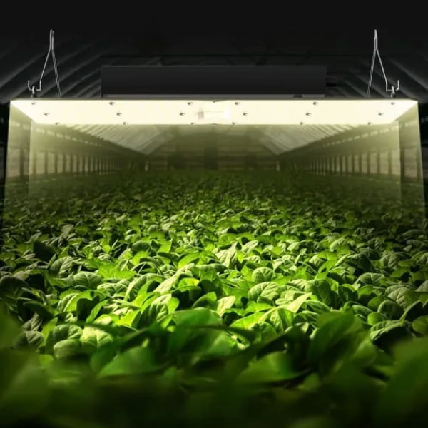 Discount LED Vækstlampe, 300 W Dæmpbar, Højtydende Samsung 2B1B Diode til indendørs planter, Frøplante og Drivhusdyrkning. Daisy Chain Driver. Kit Til Plante- & Urtedyrkning