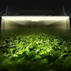 Online LED Vækstlys, 200 W fuldspektret dæmpbar, højtydende Samsung dioder til indendørs planter i væksttelt. Daisy chain driver til 2x4/3x3 ft. Kit Til Plante- & Urtedyrkning