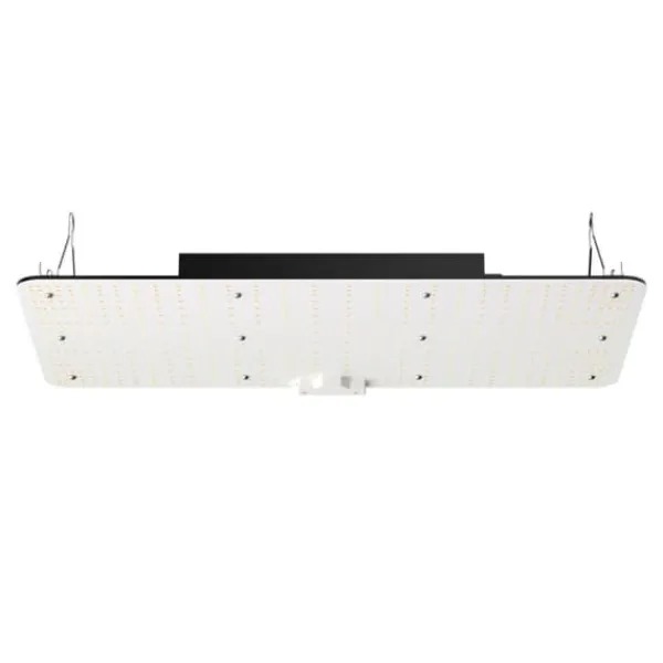 Online LED Vækstlys, 200 W fuldspektret dæmpbar, højtydende Samsung dioder til indendørs planter i væksttelt. Daisy chain driver til 2x4/3x3 ft. Kit Til Plante- & Urtedyrkning