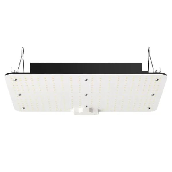 Best LED Vækstlys, 150W fuldspektrum dæmpbar, kraftfulde Samsung dioder til indendørs planter og drivhus. Daisy Chain driver til 3x3 ft telt. Kit Til Plante- & Urtedyrkning