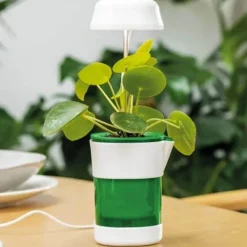 Kit Til Plante- & Urtedyrkning^LED-plantelampe med selvvandende potte - fuldspektret plantebelysning