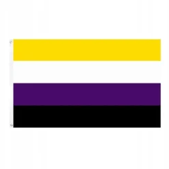 Discount LGBT REGNBUEFLAG STOR 90x150cm IKKE-BINÆR F1 Flag & Vindposer