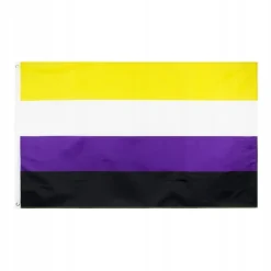 Discount LGBT REGNBUEFLAG STOR 90x150cm IKKE-BINÆR F1 Flag & Vindposer