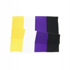 Discount LGBT REGNBUEFLAG STOR 90x150cm IKKE-BINÆR F1 Flag & Vindposer