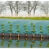 Haveduge^Liggande mulchduk - grön 90 gr / m² - 2x5m