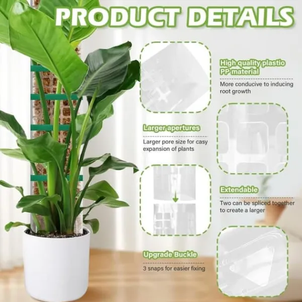 Hot Lollanda 6 stk mosstænger, 61 cm klatreplantestænger, plast, stabelbare plantestænger til indendørs planter, klatring, klatreplanter Krukker & Plantebeholdere