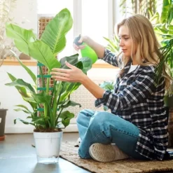 Hot Lollanda 6 stk mosstænger, 61 cm klatreplantestænger, plast, stabelbare plantestænger til indendørs planter, klatring, klatreplanter Krukker & Plantebeholdere