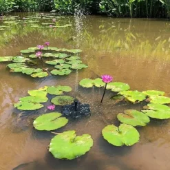 Springvand & Damme^Lollanda Solar Powered Fountain Pump med 7 Dyser - Flydende Solar Fountain Pump, til have, pool og fuglebad