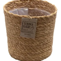 Krukkeplanter Indendørs^Luftrensende anlæg - Sæt med 5 - Inkluderer kurv - Højde 25-40cm - ⌀12cm