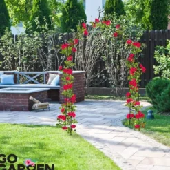Clearance Metal havepergola til blomster, roser, klatreplanter, støtte, bue, ankre, have Buer, Spalier, Lysthuse Uden Tag