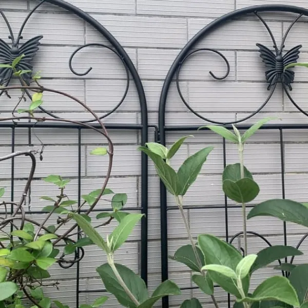 Krukker & Plantebeholdere^Metalgitter 2-pak til klatreplanter, støtte til potteplanter, stueplanter, blomster, grøntsager og havedekoration indendørs/udendørs