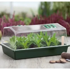 Online Mini terrinväxthus och ventilerat lock 37x24x18 xm Drivhus