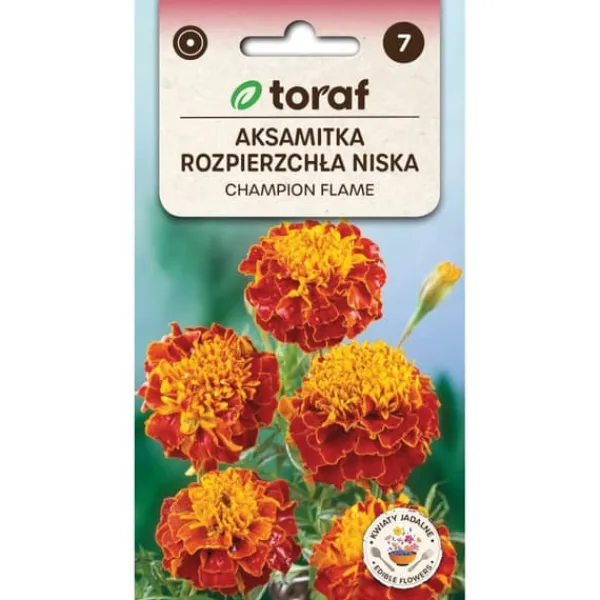 Frø^Morgenfrue Champion Flame 0,5g