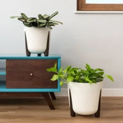 Clearance Moss ECO træ urtepotte, naturligt træ Krukker & Plantebeholdere