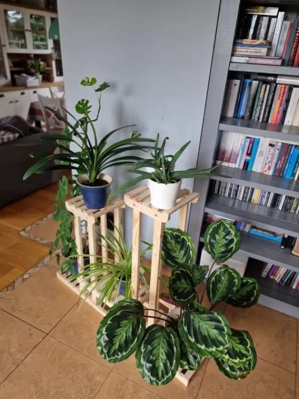 Plantestativer^Multilevel plant stand 5-tier RKB /95x116x25/ Naturligt patineret
