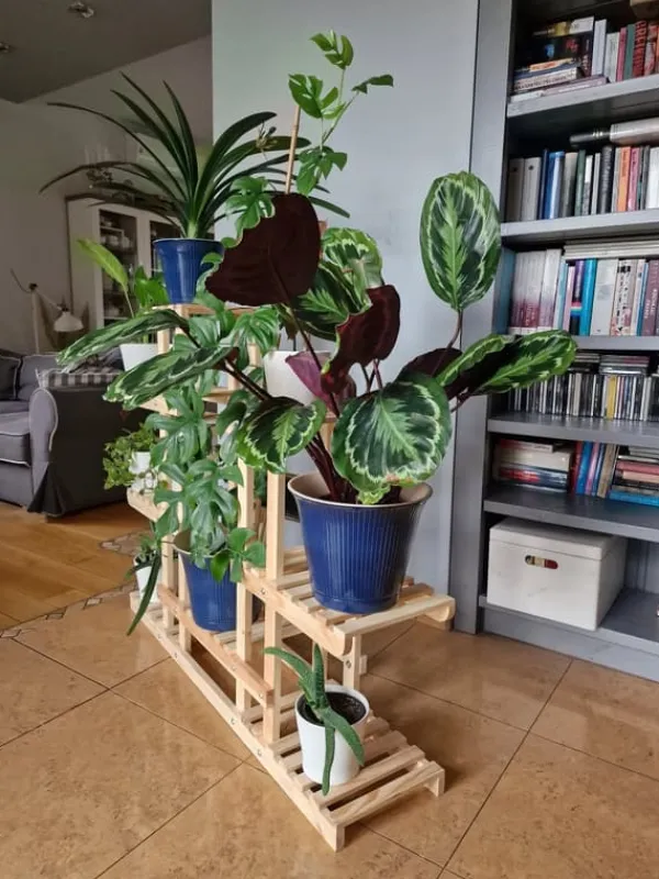 Best Multilevel træblomsterpotte RKB /95x116x25/ Naturlig Plantestativer