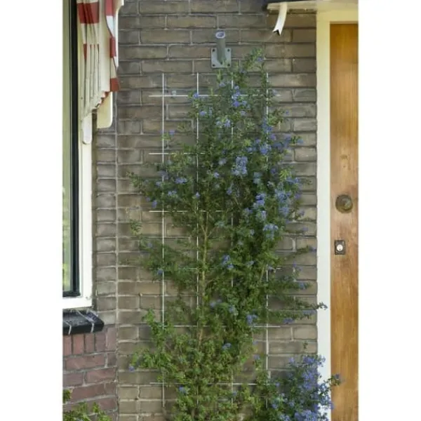 Hot NATUR Rektangulärt galvaniserat ståltrådsnät 42,5xH145cm - Grön Buer, Spalier, Lysthuse Uden Tag