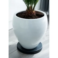 Støtte Med Hjul, Sæder & Knæbeskyttelse Til Havepleje^NATUR Växthylla på hjul - Polypropylen - H4 x Ø29,2 cm
