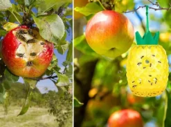 Skadedyrsfælder^NoBzzz FÆLDE TIL HVEPSEFLUER 2 STK. GENBRUGELIG EFFEKTIV ANANAS