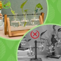 Krukker & Plantebeholdere^OBOSOE 6 Plantestøtte – Støtte til stiklinger, skud og stængler, planteholdere og planteklemmer til formering og indendørs have