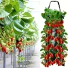 Online OBOSOE hængende dyrkningspose/dyrkningspose - 8-hullers lodret jordløs vækst, perfekt til jordbær Kit Til Plante- & Urtedyrkning