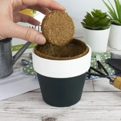 Kit Til Plante- & Urtedyrkning^Odlingskit Öl Gift Republic Ltd.