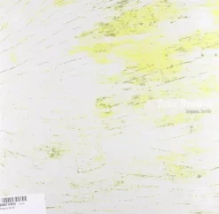 Frø^Pater Nembrot Sequoia Seeds (Vinyl) New