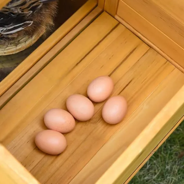 Til Fugle & Småvildt^PawHut Kyllingehus med løbegård og redekasse - Robust fyrretræsdesign (168x75x103 cm) - Ideelt hjem til dine høns