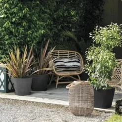 Online Plant pot Deroma Krukkeplanter Indendørs