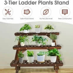 Plantestativer^Plante Hyldereol, 70×25×15 cm, Naturlig