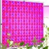 Kit Til Plante- & Urtedyrkning^Plantebelysning 225 LED Panel | Dyrkningslampe for optimal planteudvikling