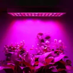 Kit Til Plante- & Urtedyrkning^Plantebelysning 225 LED Panel | Dyrkningslampe for optimal planteudvikling