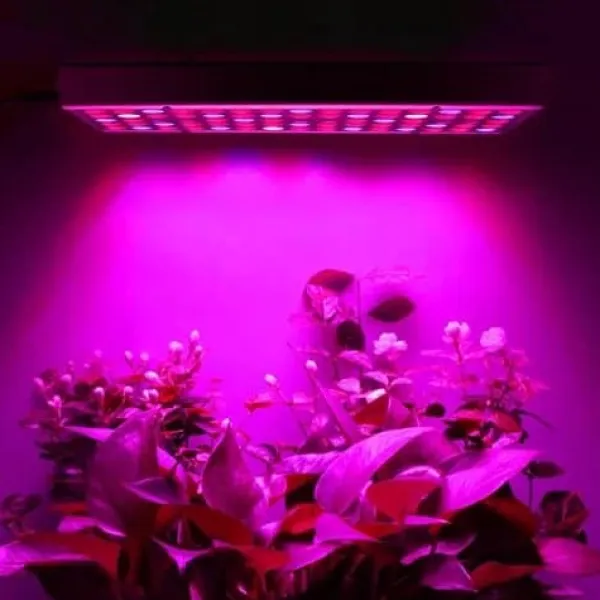 Kit Til Plante- & Urtedyrkning^Plantebelysning 225 LED Panel | Dyrkningslampe for optimal planteudvikling