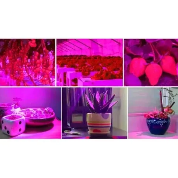 Kit Til Plante- & Urtedyrkning^Plantebelysning 225 LED Panel | Dyrkningslampe for optimal planteudvikling