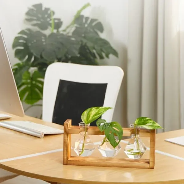 Planteformeringsstation, 13x28x6,5 cm, Natur Kit Til Plante- & Urtedyrkning